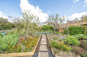 Garden- click for photo gallery